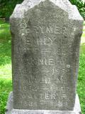 image of grave number 160488